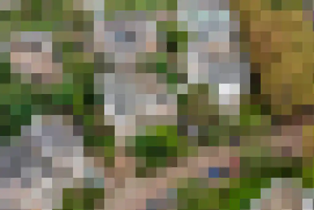 Van Lennepweg 22 Den Haag thumbnail 69