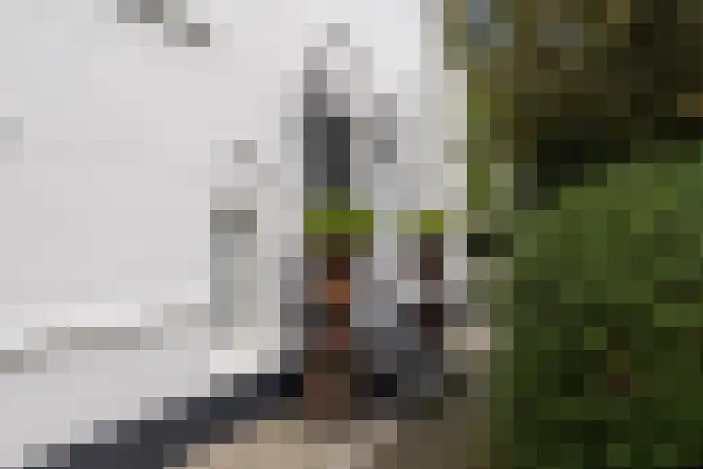 Van Lennepweg 22 Den Haag thumbnail 9