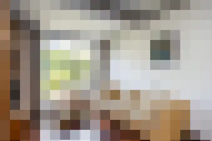 Van Lentestraat 50 Dalfsen thumbnail 11