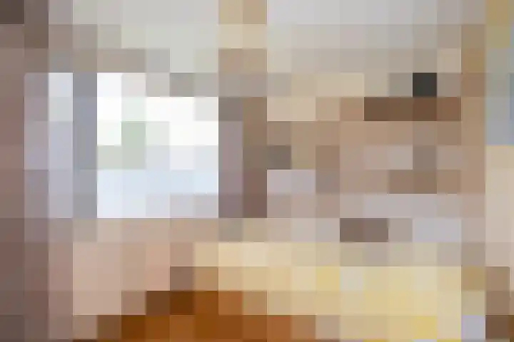 Van Lentestraat 50 Dalfsen thumbnail 17
