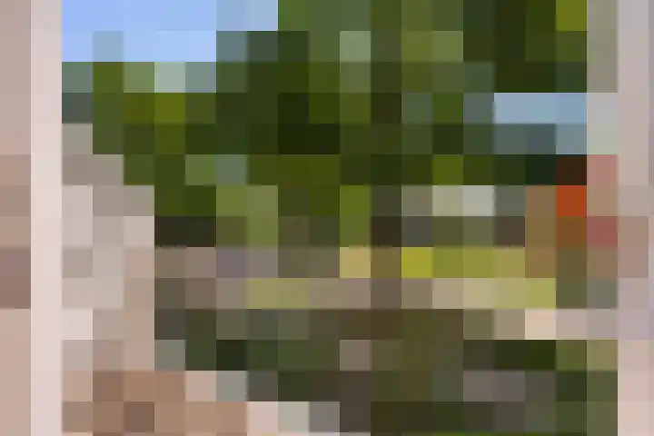 Van Lentestraat 50 Dalfsen thumbnail 25