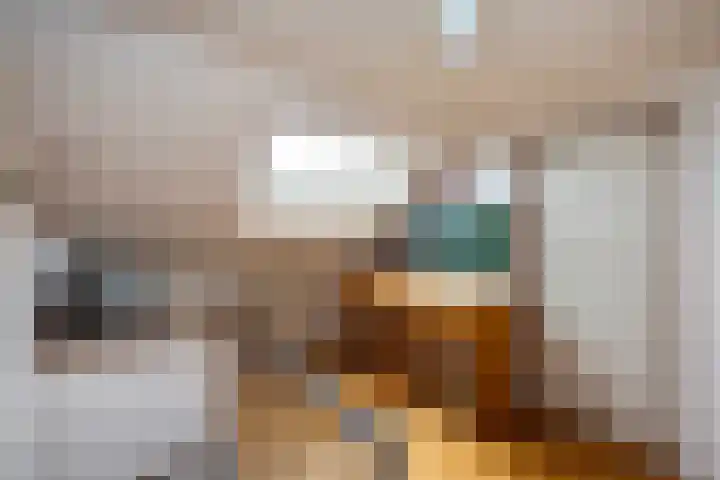 Van Lentestraat 50 Dalfsen thumbnail 27