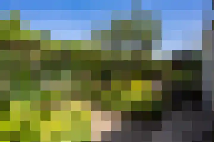 Van Lentestraat 50 Dalfsen thumbnail 31