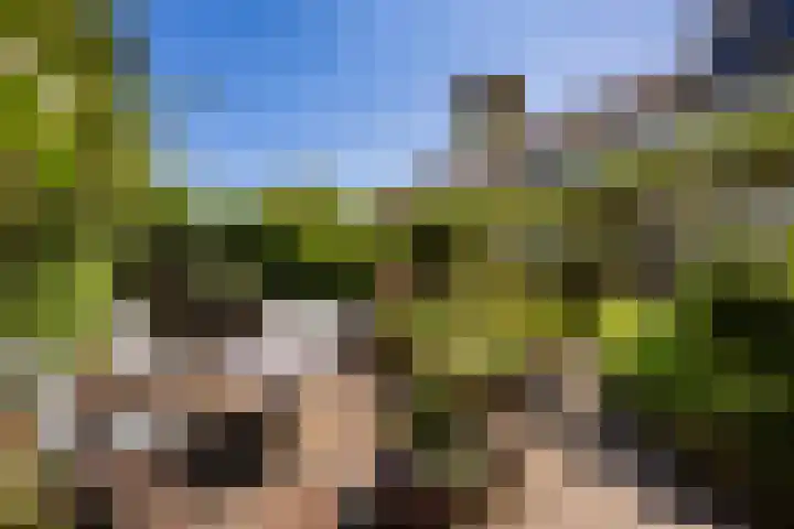 Van Lentestraat 50 Dalfsen thumbnail 32