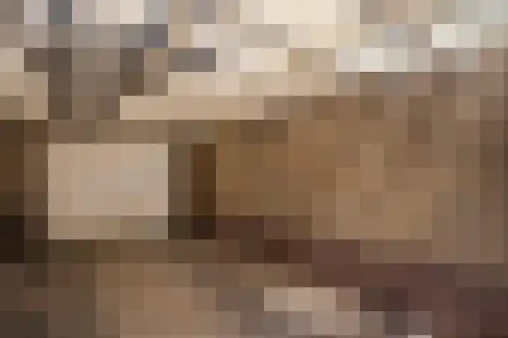 Van Lentestraat 50 Dalfsen thumbnail 33