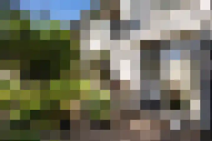 Van Lentestraat 50 Dalfsen thumbnail 5