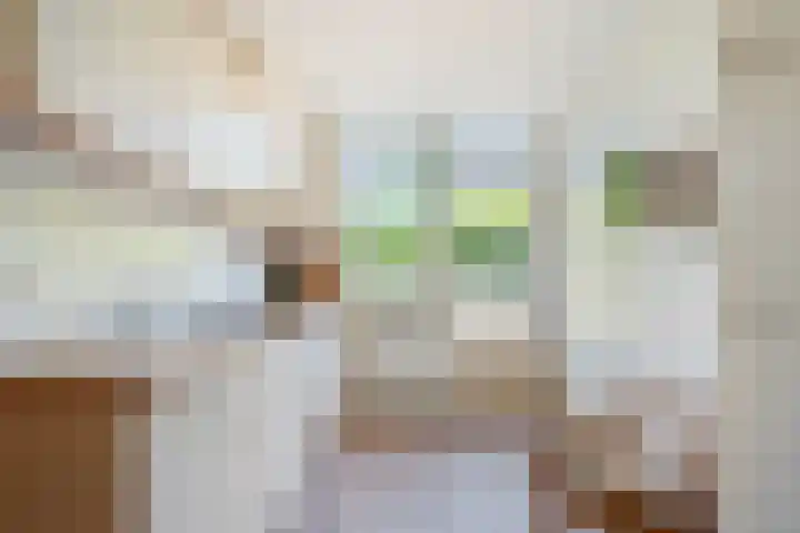Van Lentestraat 8 Dalfsen thumbnail 10