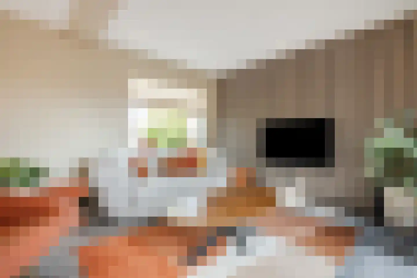 Van Lentestraat 8 Dalfsen thumbnail 10