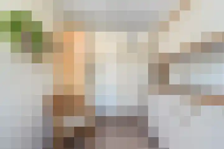 Van Lentestraat 8 Dalfsen thumbnail 11
