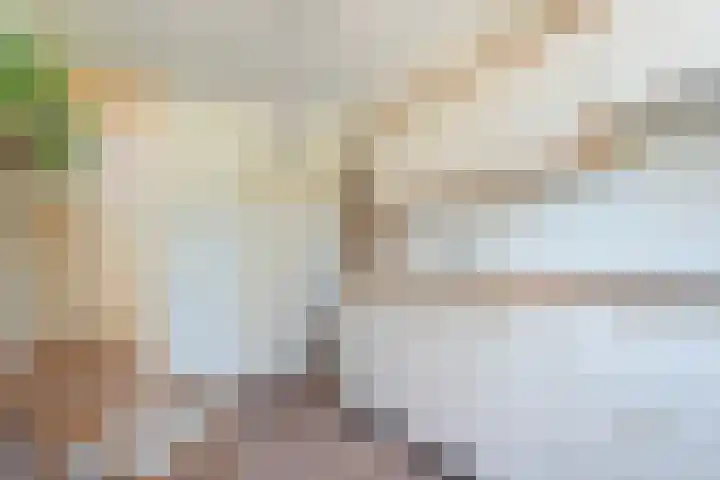 Van Lentestraat 8 Dalfsen thumbnail 12