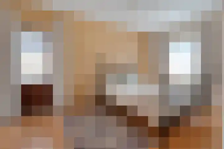Van Lentestraat 8 Dalfsen thumbnail 13