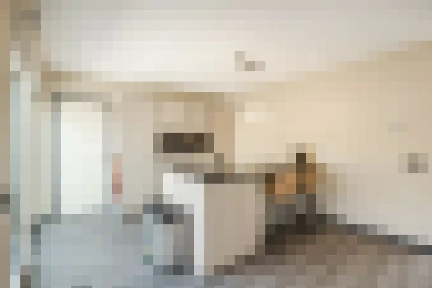Van Lentestraat 8 Dalfsen thumbnail 14