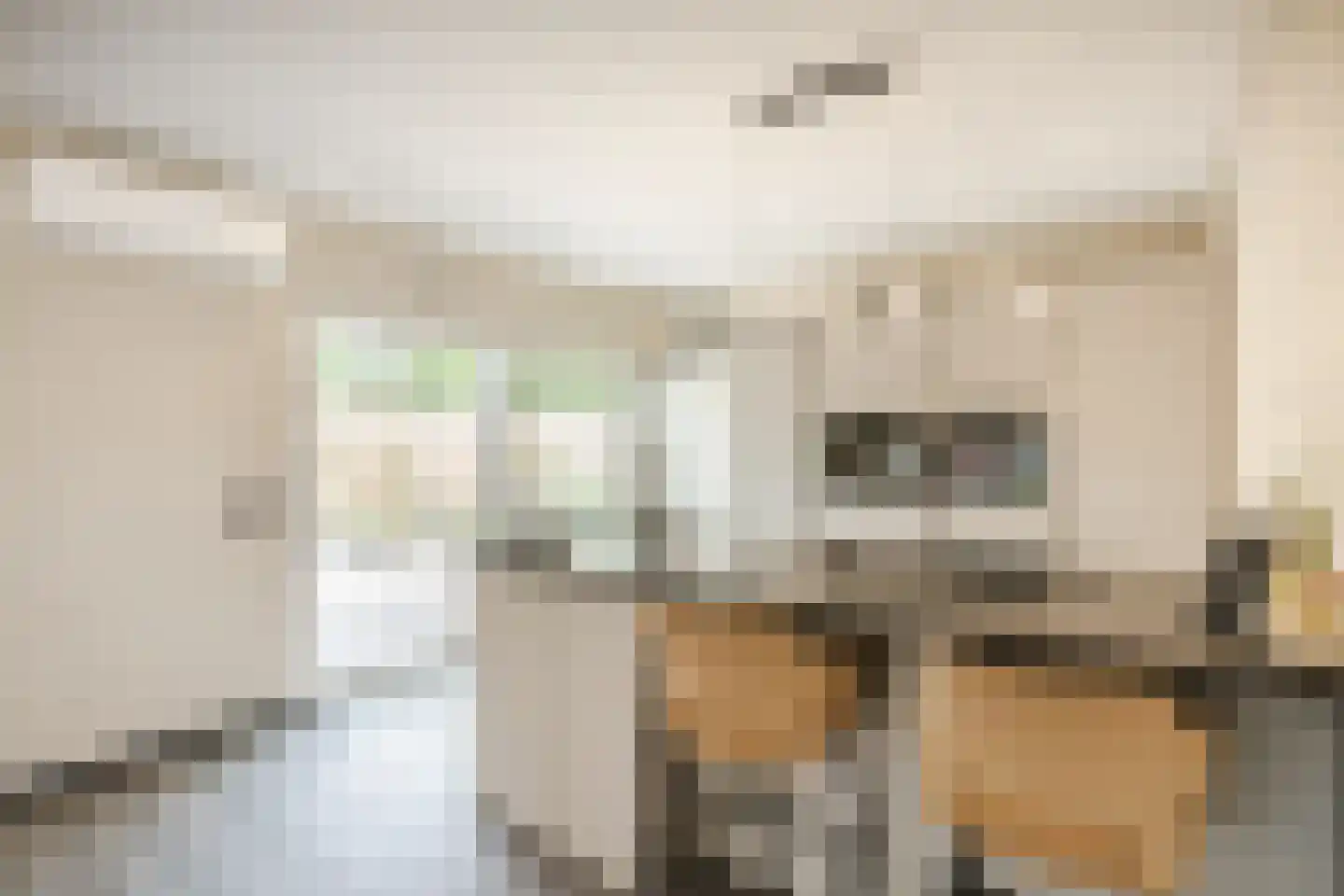 Van Lentestraat 8 Dalfsen thumbnail 16