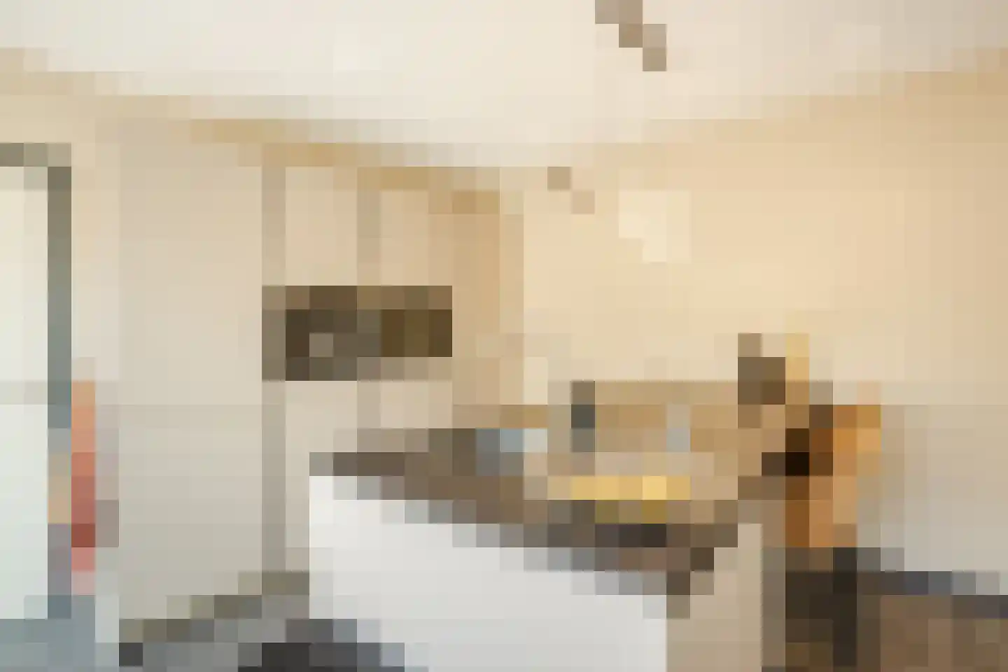Van Lentestraat 8 Dalfsen thumbnail 17