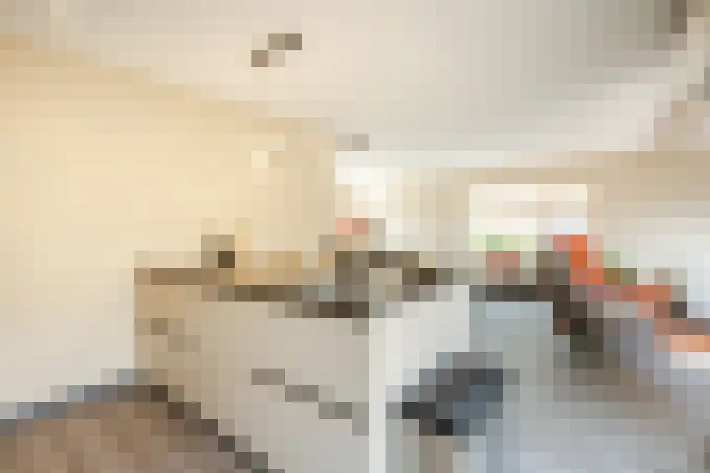 Van Lentestraat 8 Dalfsen thumbnail 18