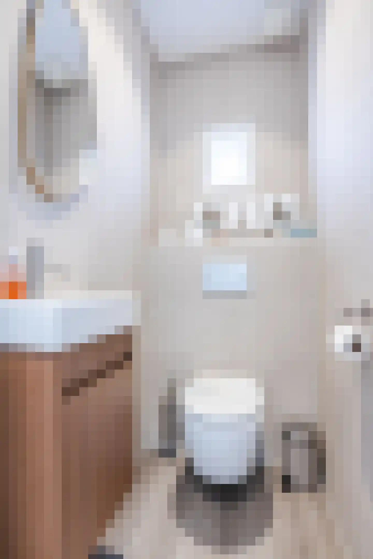 Van Lentestraat 8 Dalfsen thumbnail 21