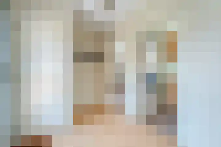 Van Lentestraat 8 Dalfsen thumbnail 21