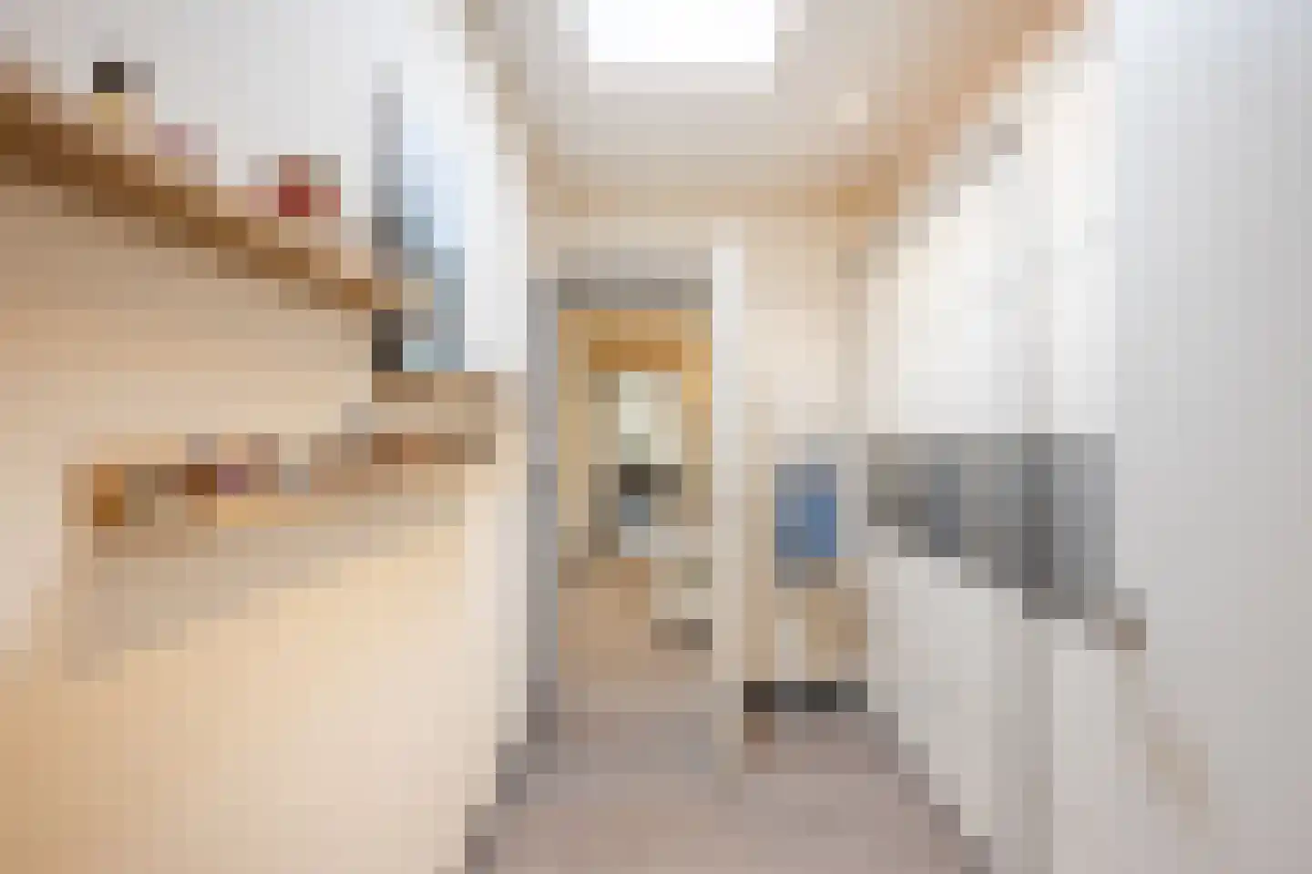 Van Lentestraat 8 Dalfsen thumbnail 24