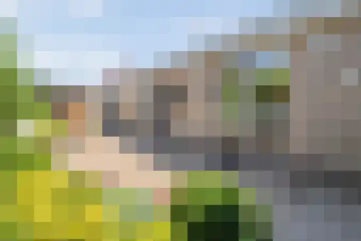 Van Lentestraat 8 Dalfsen thumbnail 26