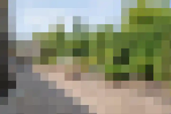 Van Lentestraat 8 Dalfsen thumbnail 27