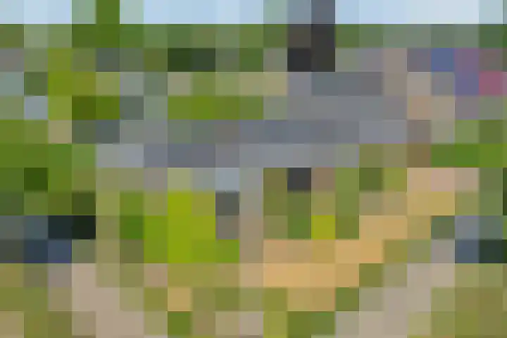 Van Lentestraat 8 Dalfsen thumbnail 29