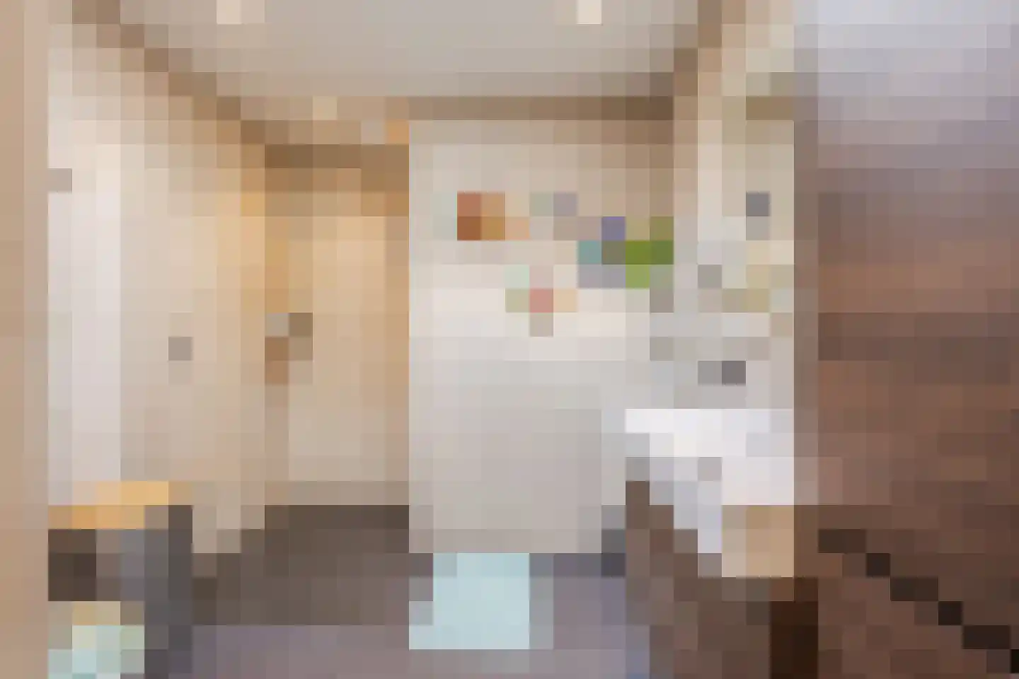 Van Lentestraat 8 Dalfsen thumbnail 29