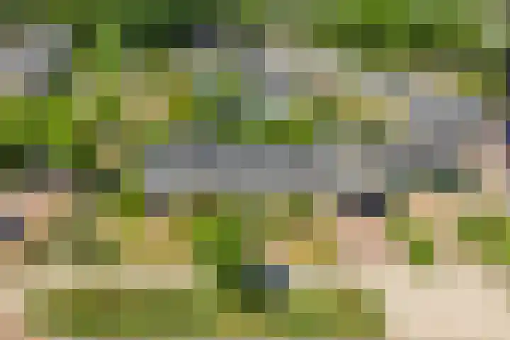 Van Lentestraat 8 Dalfsen thumbnail 30