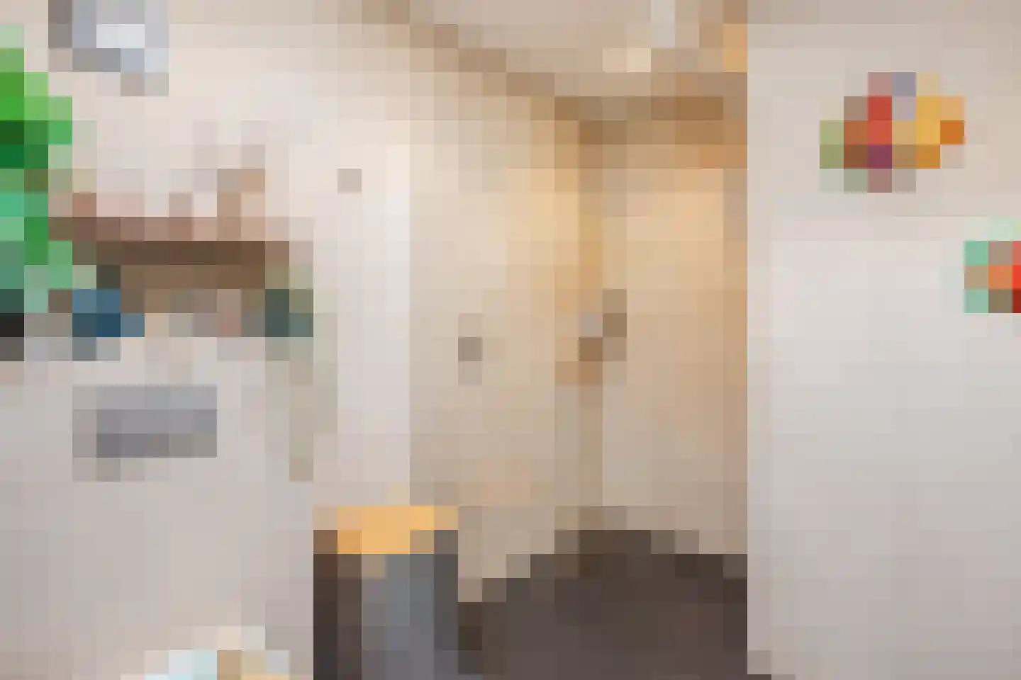 Van Lentestraat 8 Dalfsen thumbnail 30