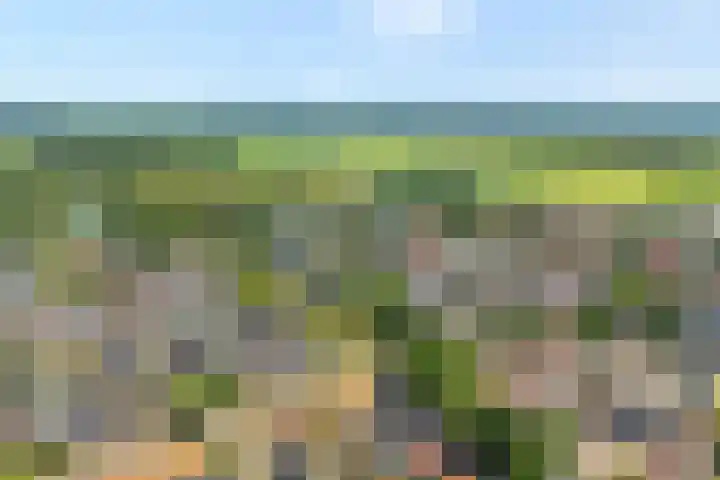 Van Lentestraat 8 Dalfsen thumbnail 31
