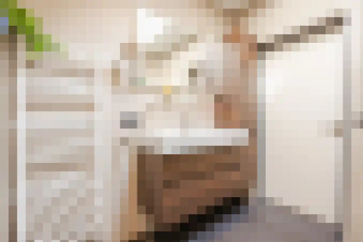 Van Lentestraat 8 Dalfsen thumbnail 31