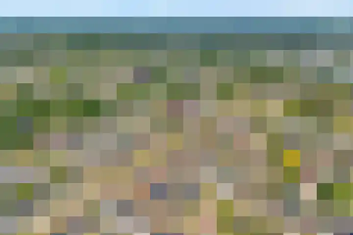 Van Lentestraat 8 Dalfsen thumbnail 32