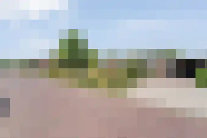 Van Lentestraat 8 Dalfsen thumbnail 33