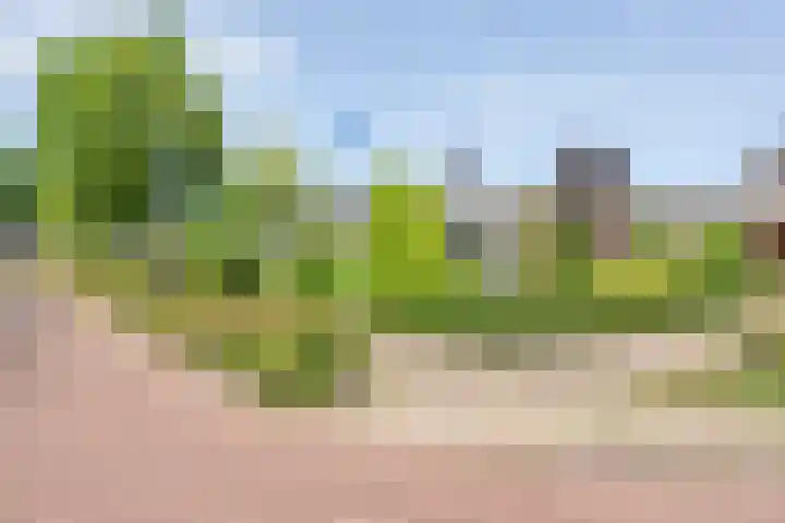 Van Lentestraat 8 Dalfsen thumbnail 35