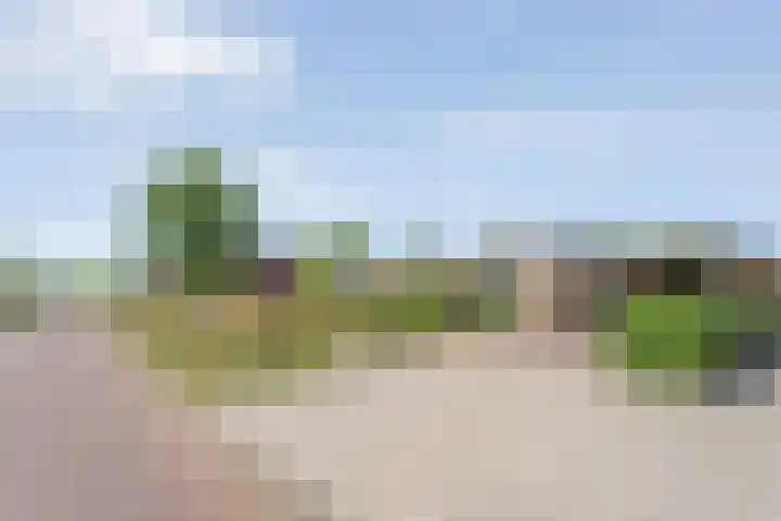 Van Lentestraat 8 Dalfsen thumbnail 36