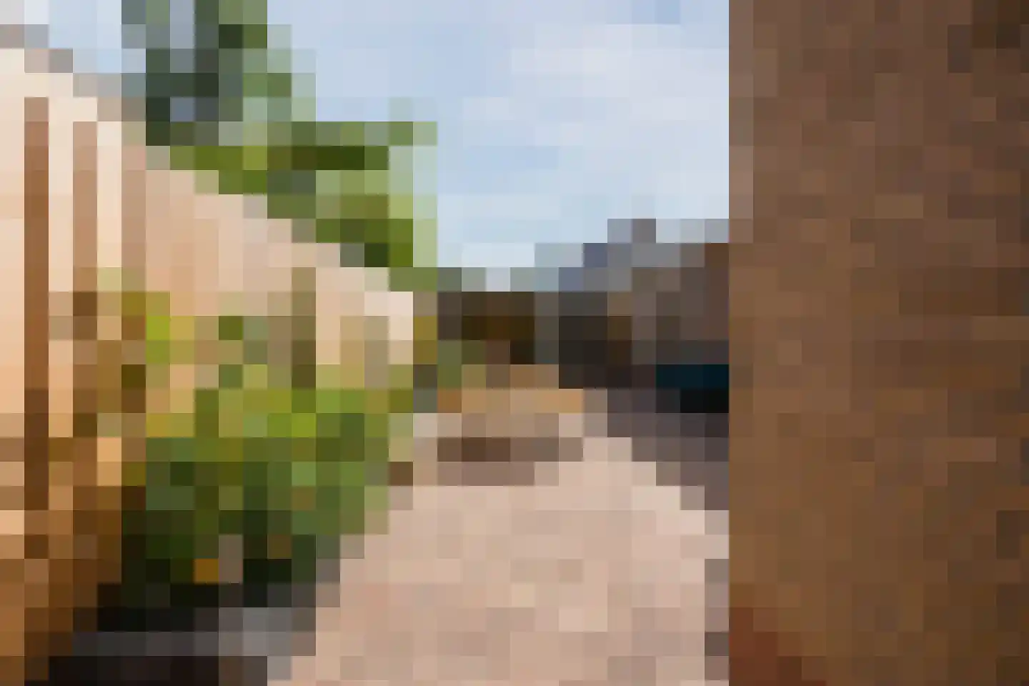 Van Lentestraat 8 Dalfsen thumbnail 37
