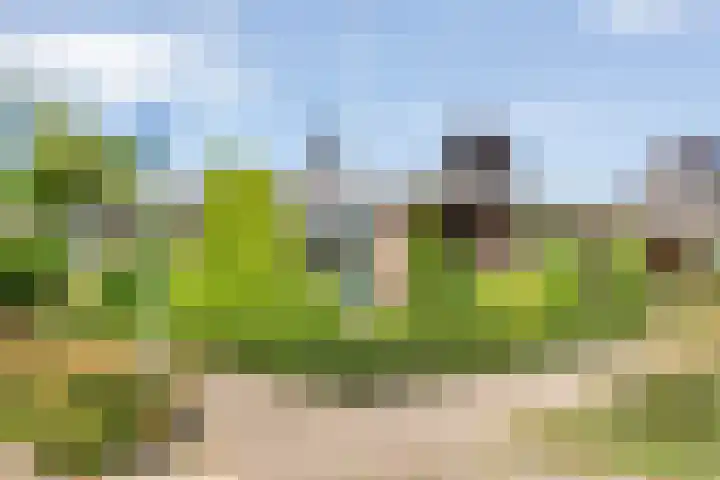 Van Lentestraat 8 Dalfsen thumbnail 37