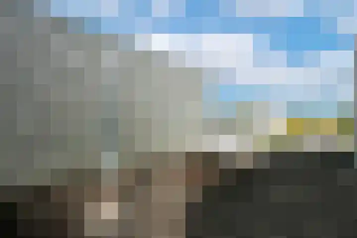 Van Leuffenpad 11 IJsselstein thumbnail 31