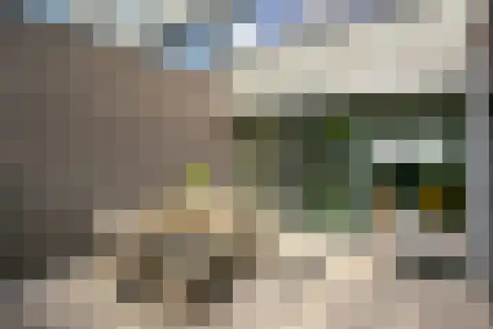 Van Leuffenpad 11 IJsselstein thumbnail 36