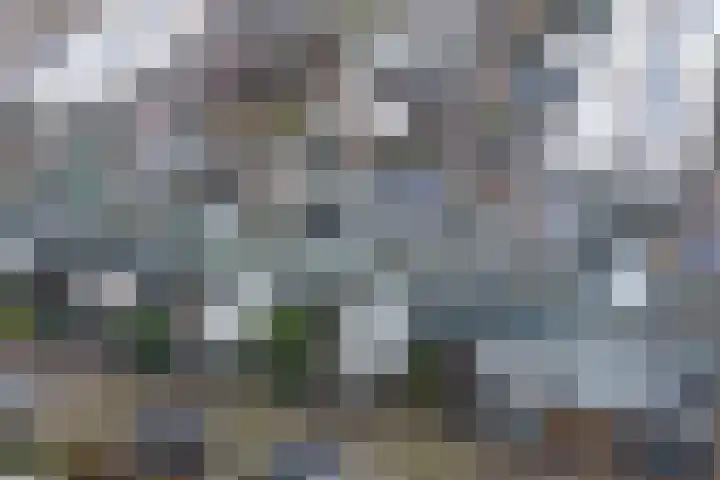 Van Leuffenpad 17 IJsselstein thumbnail 5