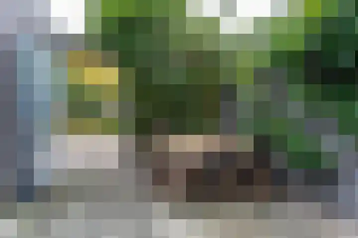 Van Leuffenpad 6 IJsselstein thumbnail 45