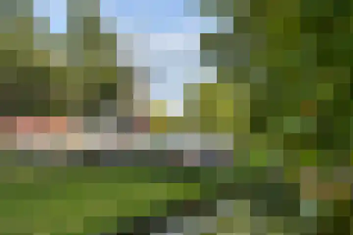 Van Leuffenpad 6 IJsselstein thumbnail 49