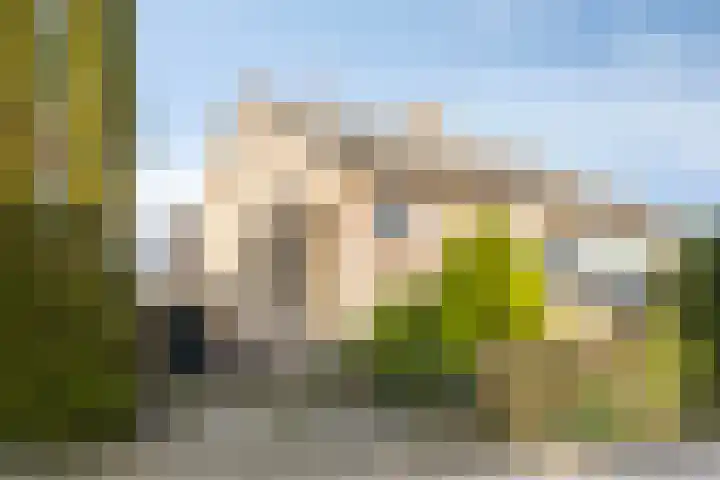 Van Lidth de Jeudelaan 17 in Wageningen