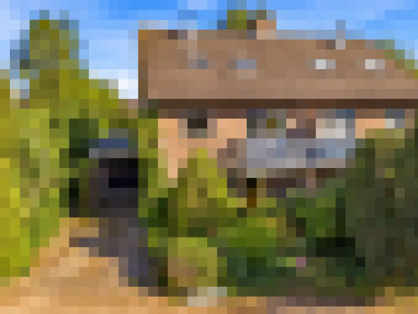 Van Lidth de Jeudelaan 17 in Wageningen