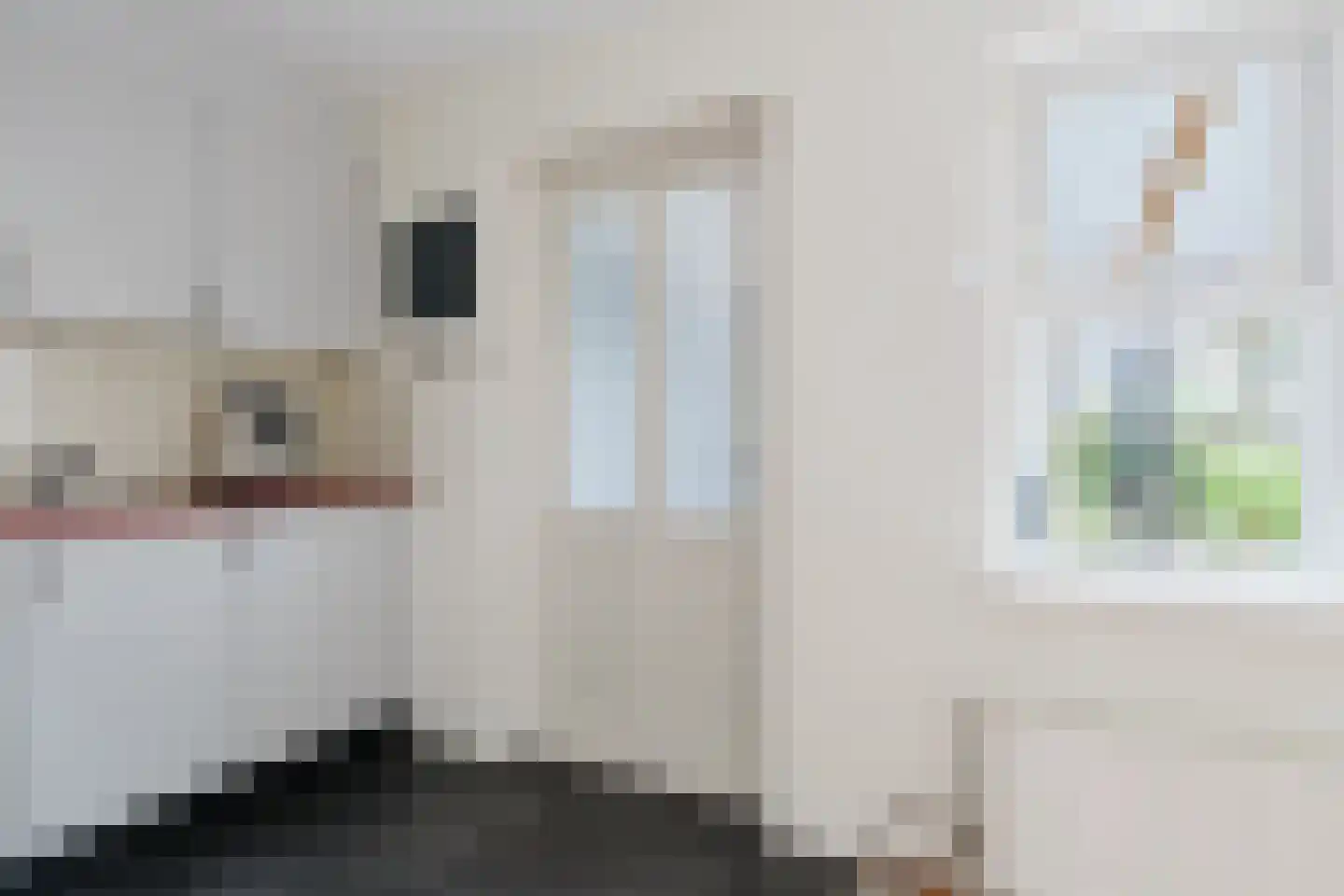 van Lidtstraat 43 Heerenveen thumbnail 33