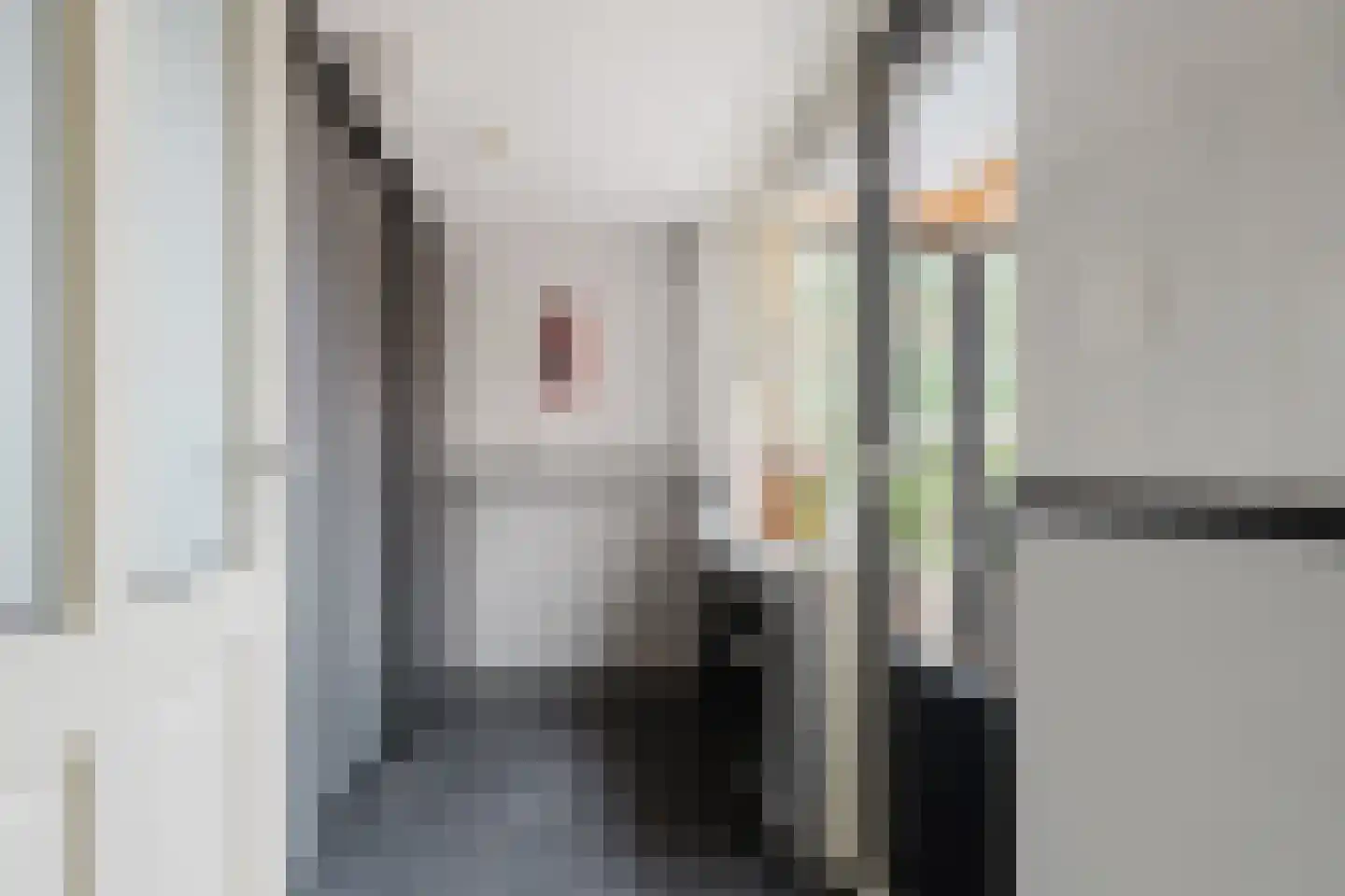 van Lidtstraat 43 Heerenveen thumbnail 34