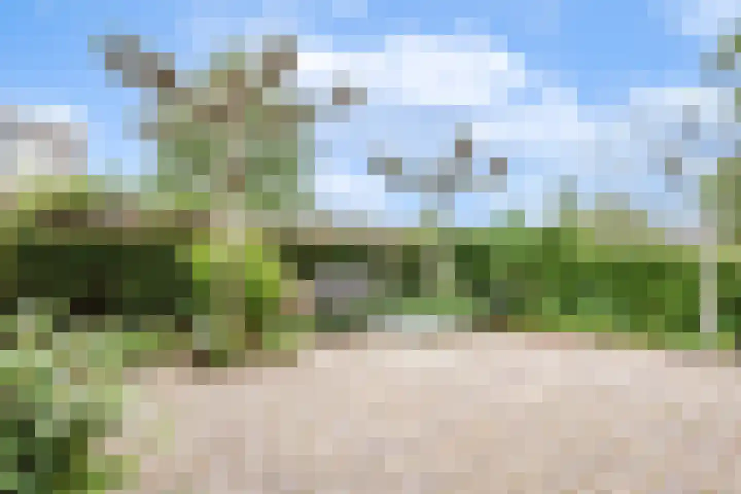 van Lidtstraat 43 Heerenveen thumbnail 38