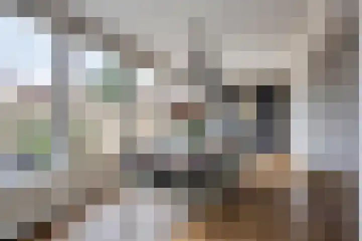 Van Liedekerkestraat 12 Oosterhout thumbnail 20