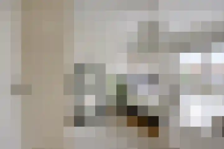 Van Liedekerkestraat 12 Oosterhout thumbnail 40
