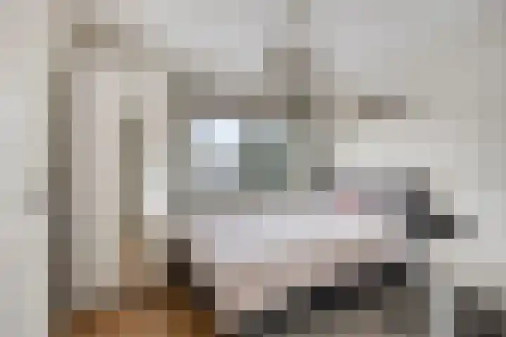 Van Liedekerkestraat 12 Oosterhout thumbnail 46
