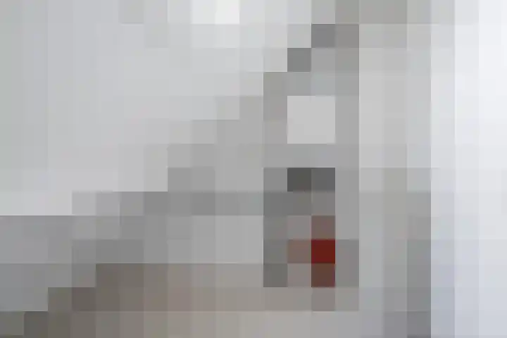 van Liedekerkestraat 16 Standdaarbuiten thumbnail 29